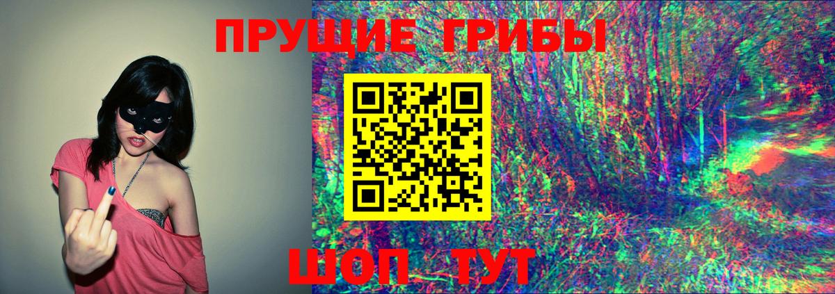 Галлюциногенные грибы Psilocybine cubensis Лангепас